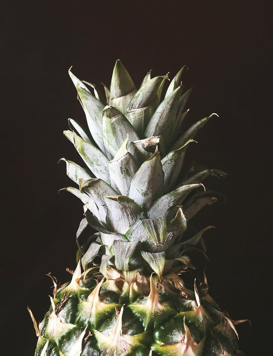 close-up photo of pineapple, nature, pinapple, plant, growth HD wallpaper
