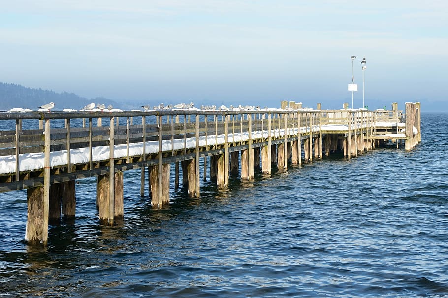 Snow, Winter, Water, Web, Jetty, Lake, cold, icy, pier, boardwalk HD wallpaper
