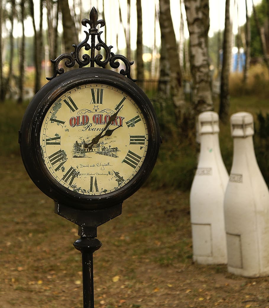 clock, old clock, antique, clock shield, park, decoration, clone HD wallpaper