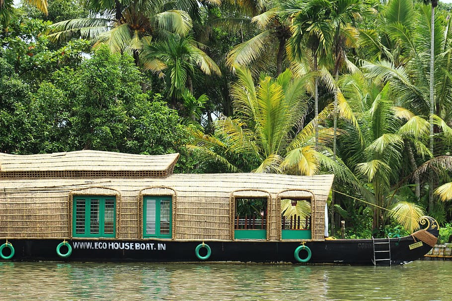 houseboats, india, kerala, tree, tropical climate, plant, palm tree, HD wallpaper