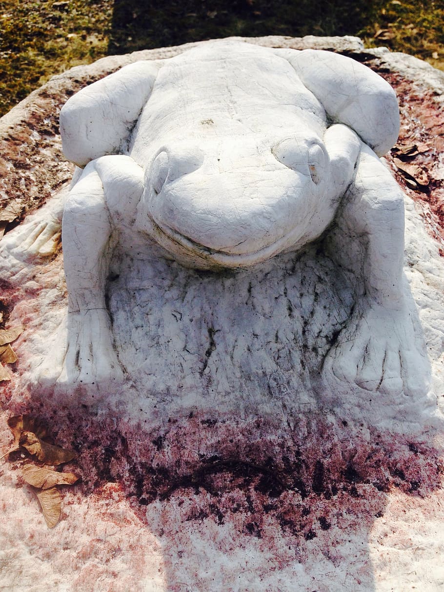 frog, stone, sculpture, statue, representation, art and craft HD wallpaper