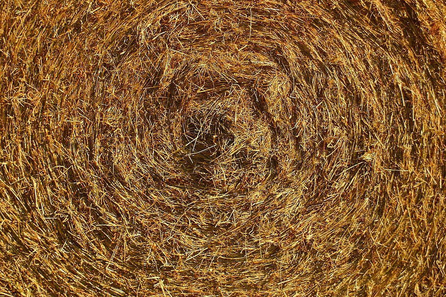 background, texture, backgrounds, straw, full frame, no people HD wallpaper