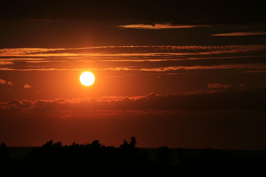 silhouette of trees during golden hour, sunset, sunrise, sky HD wallpaper