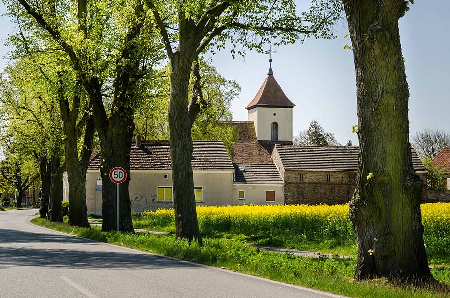 Village, Spring, Green, Distant View, field, trees, landscape HD wallpaper