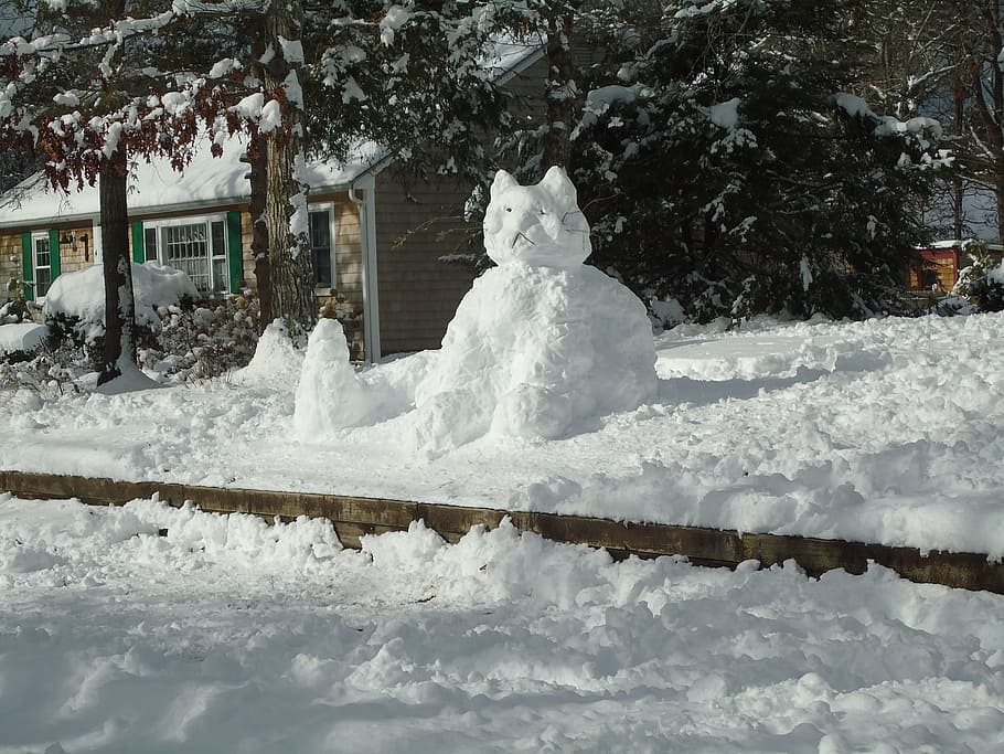 cat snow formation, Snowman, Kitty, Cat, Winter, sculpure, big HD wallpaper