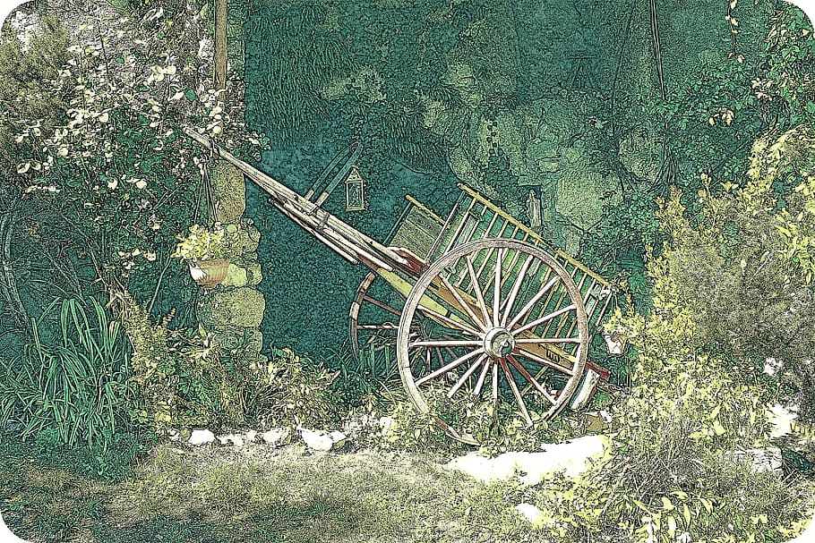 car, old, carriage, wheel, plant, transportation, nature, no people HD wallpaper