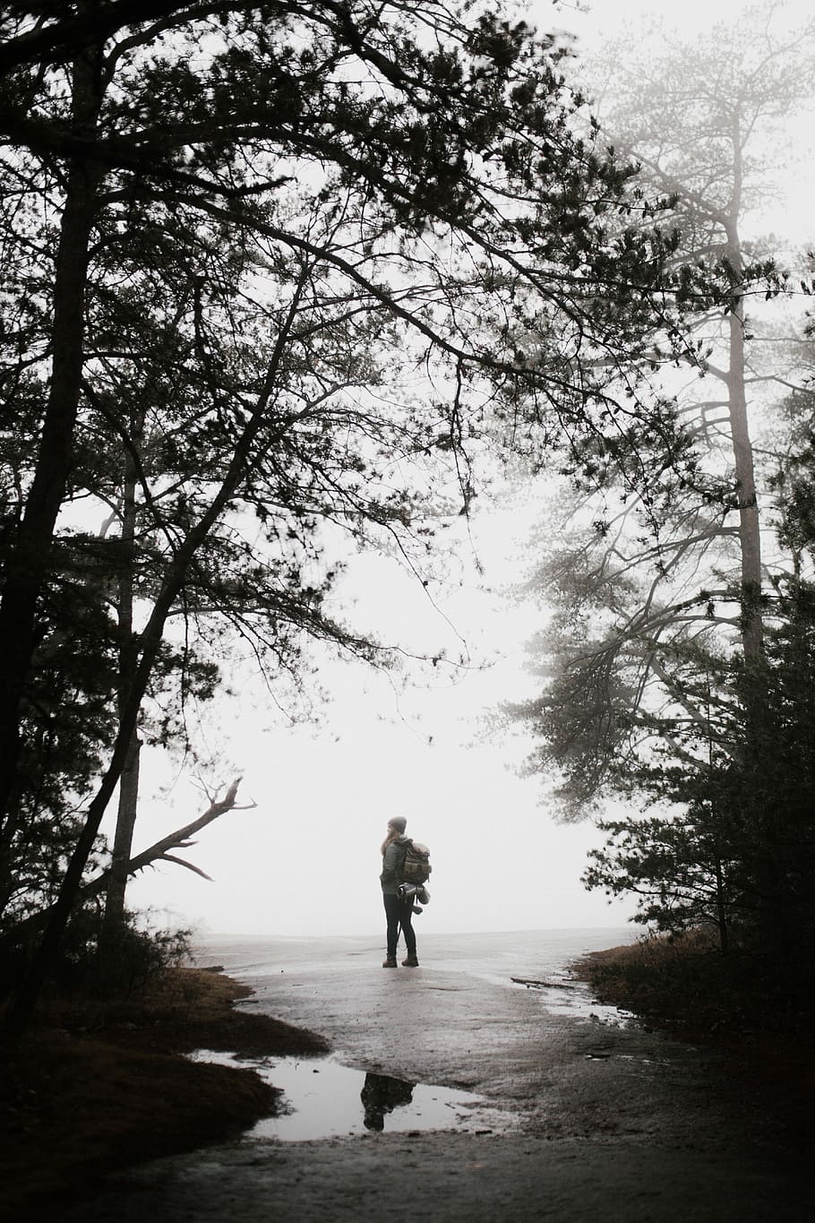 silhouette photo of person standing near tree, man standing near tree during foggy daytime HD wallpaper
