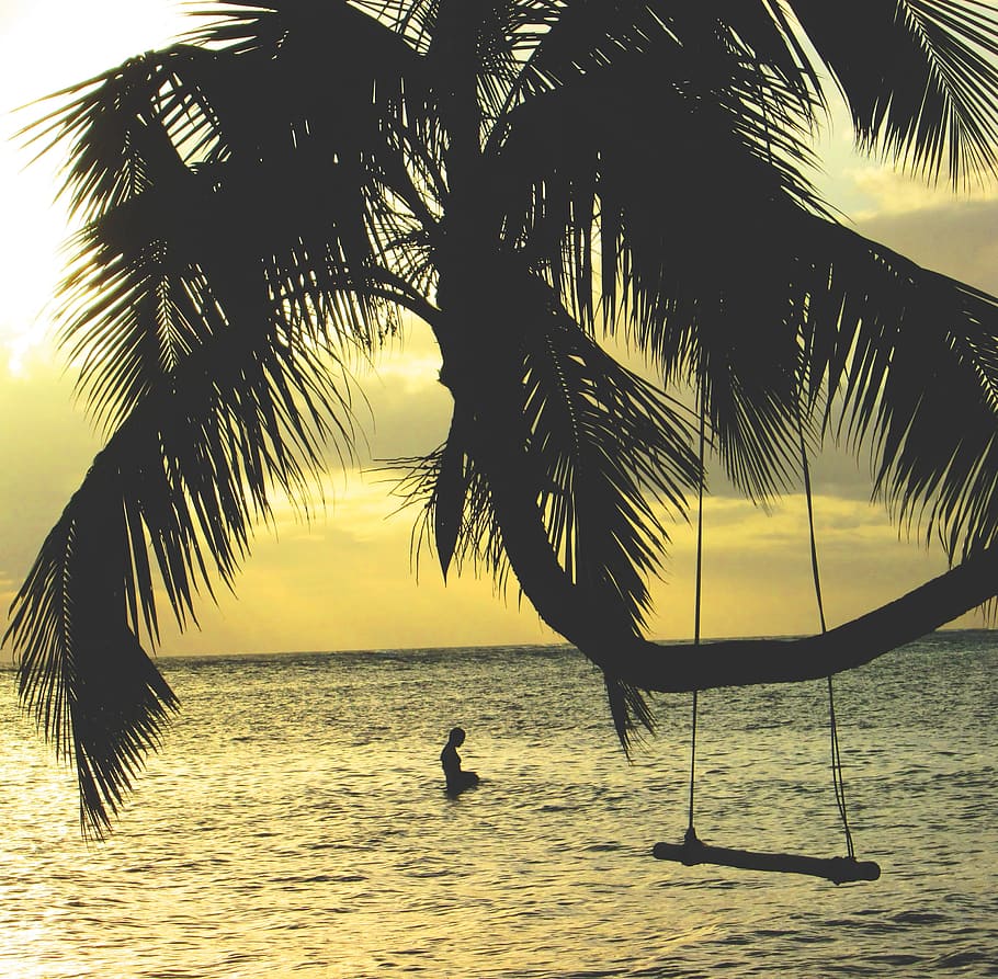 brown coconut tree near body of water, silhouette of person on body of water during sunset HD wallpaper