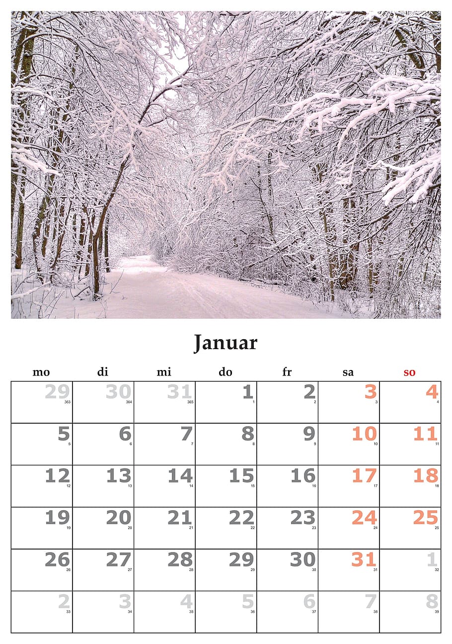 January calendar, month, january 2015, tree, plant, number, no people, HD wallpaper