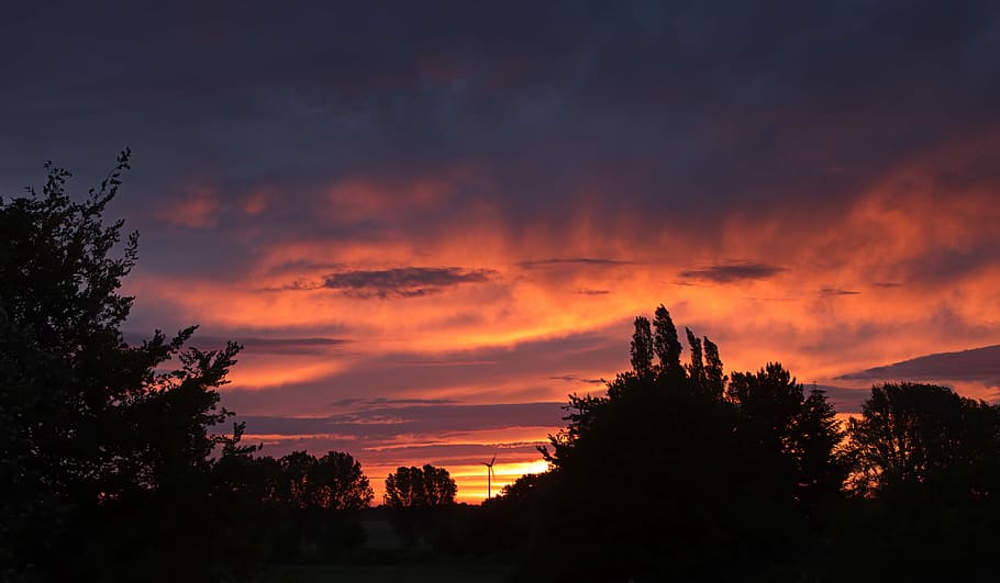 sunset, dawn, panorama, dusk, tree, sky, plant, silhouette HD wallpaper
