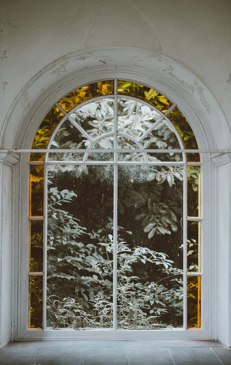 Stained Glass Window, green tree behind arch-shaped window, leaf HD wallpaper