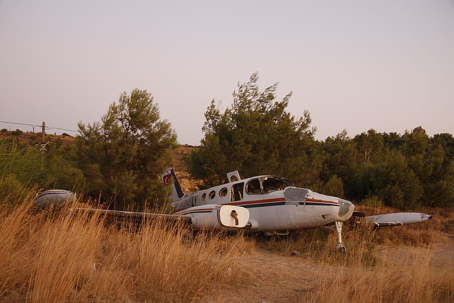 plane, crash, shrubs, sunset, dried weeds, transportation, mode of transportation HD wallpaper