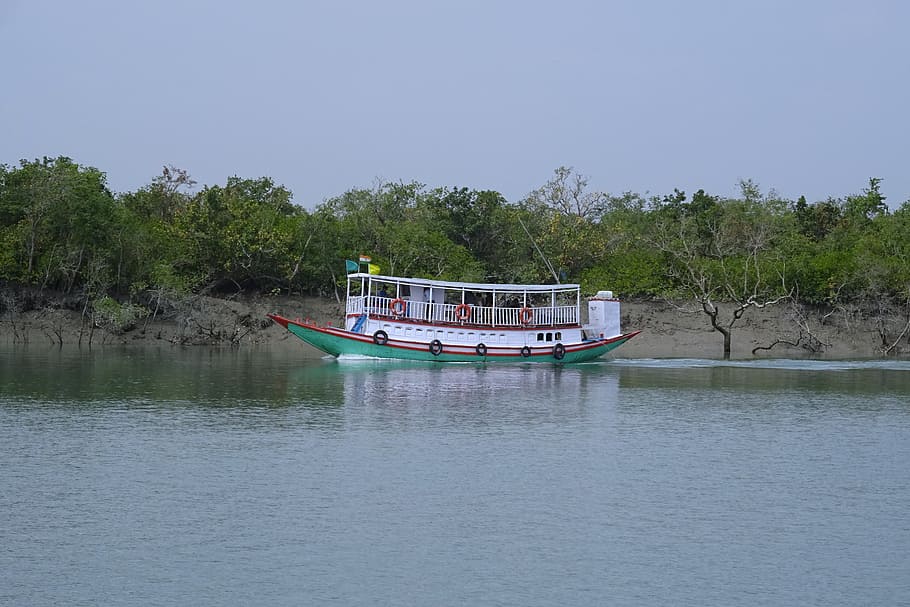 boat, river, mangroves, sundarbans, forest, ramsar site, unesco