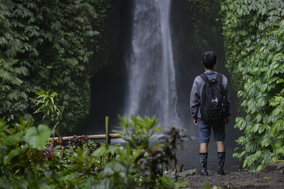 man staring at waterfalls, faceless, trip, forest, jungle, tree, HD wallpaper