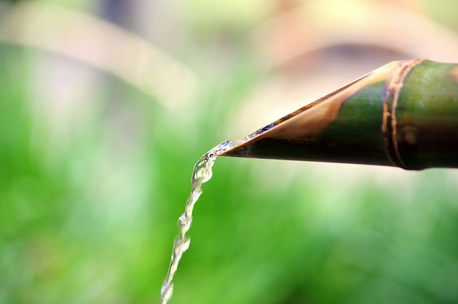 selective focus photography of red bamboo stick with water, summer