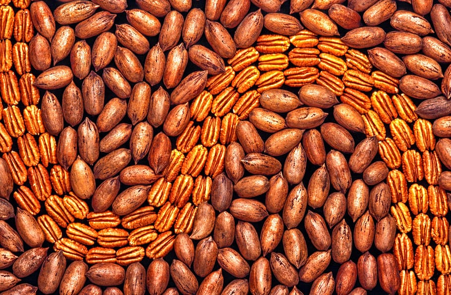 pecans, shelled, unshelled, nuts, close-up, macro, food, food and drink HD wallpaper