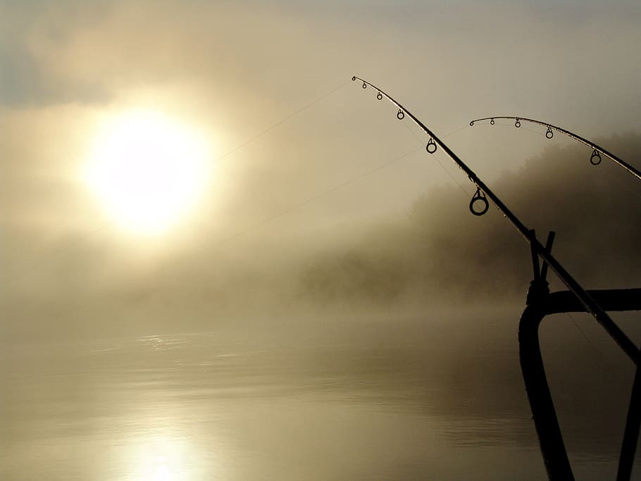 silhouette of two fishing poles during golden hour, summer, drava, HD wallpaper