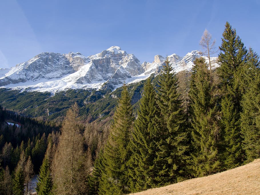 alps, snow, forest, winter, mountains, frost, high, romance HD wallpaper