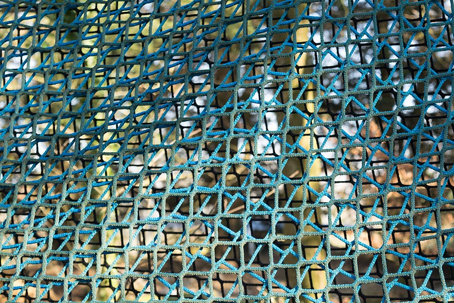 fence, string, grid, rope, nature, park, plants, trees, texture HD wallpaper