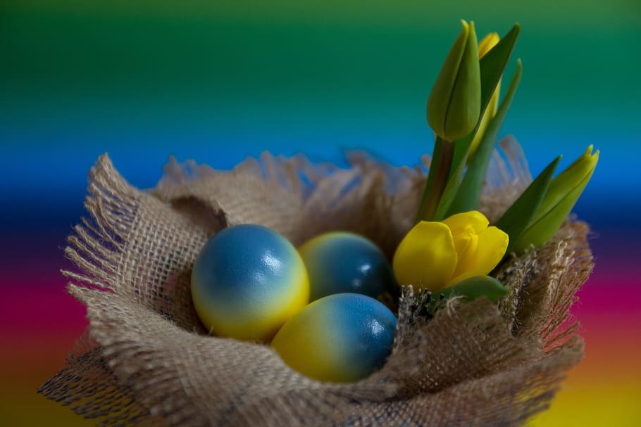blue-and-yellow eggs, easter, easter eggs, colored eggs, flowers, HD wallpaper