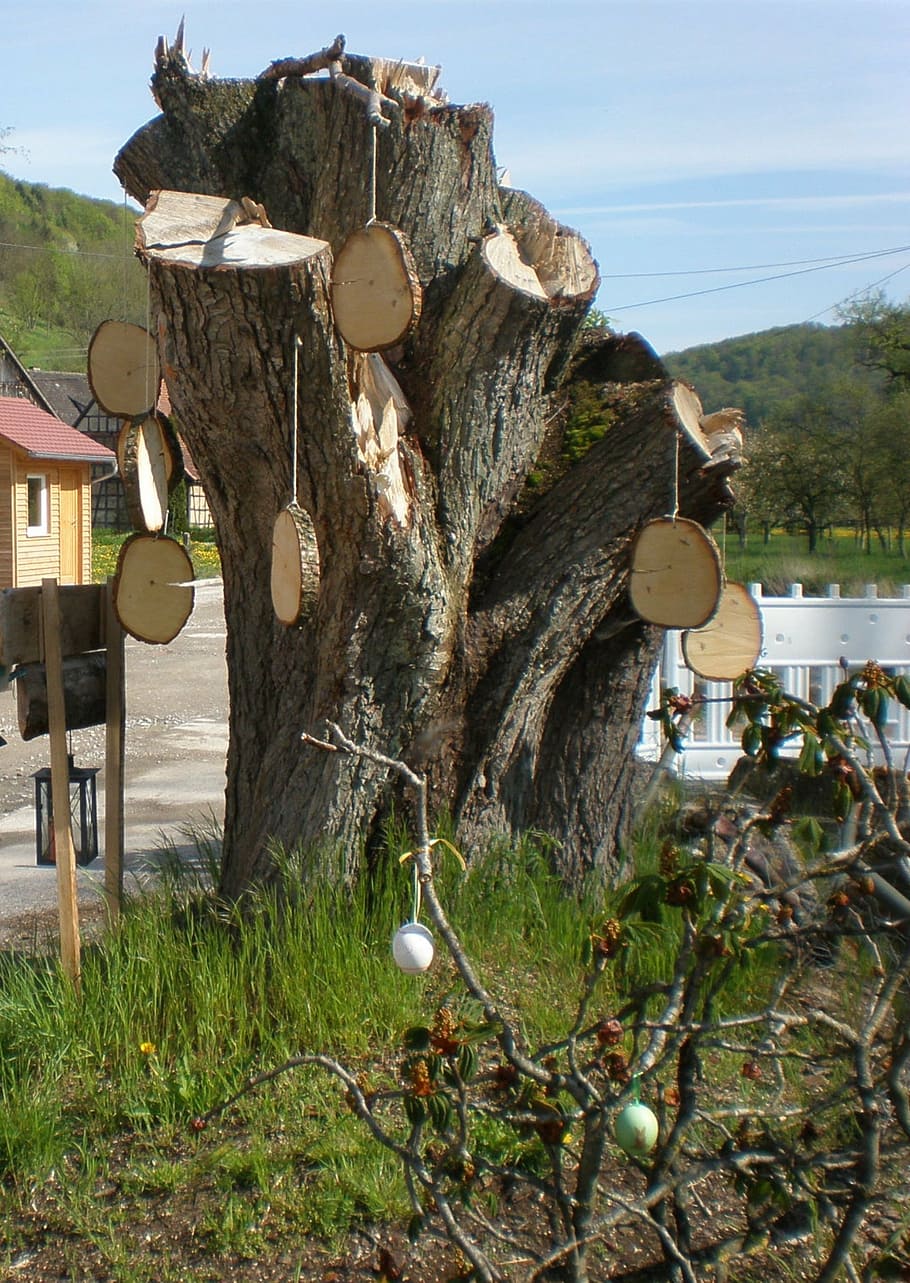 easter tree, tree stump, hung, tree grates, egg washers, easter egg HD wallpaper