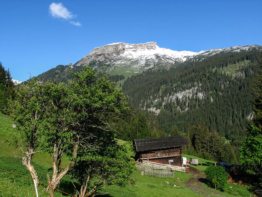 Alpine, Kleinwalsertal, High, high ifen, spring, mountain, snow, HD wallpaper