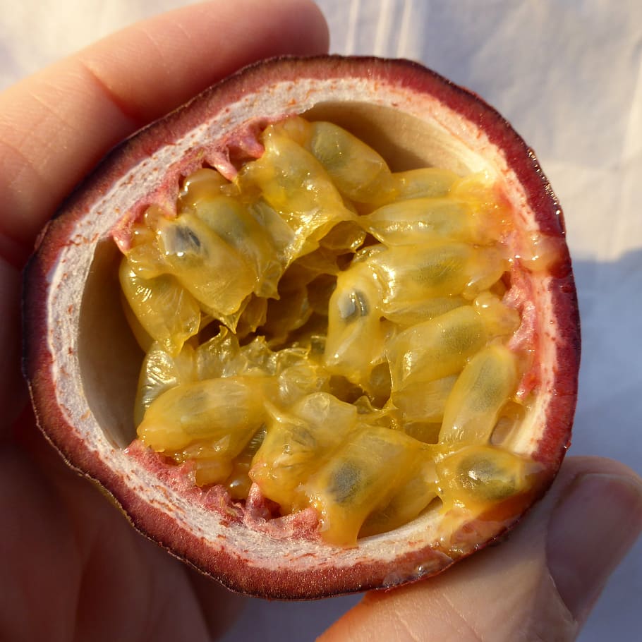 passion fruit, sliced, eat, vitamins, healthy, food, delicious HD wallpaper