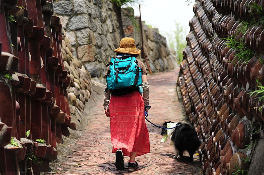 pottery, tokoname, walk, rear view, real people, women, architecture HD wallpaper