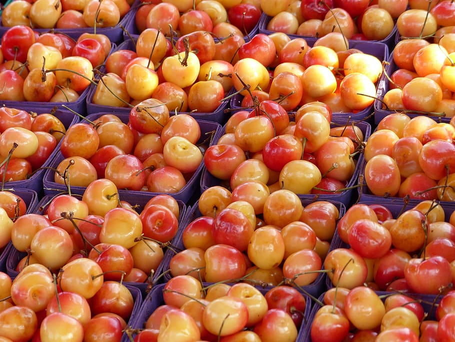 white, cherries, fruit, fresh, cherry, natural, freshness, garden HD wallpaper