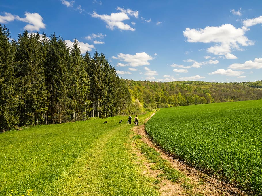 people walking on field pathway, landscape, spring, hiking HD wallpaper