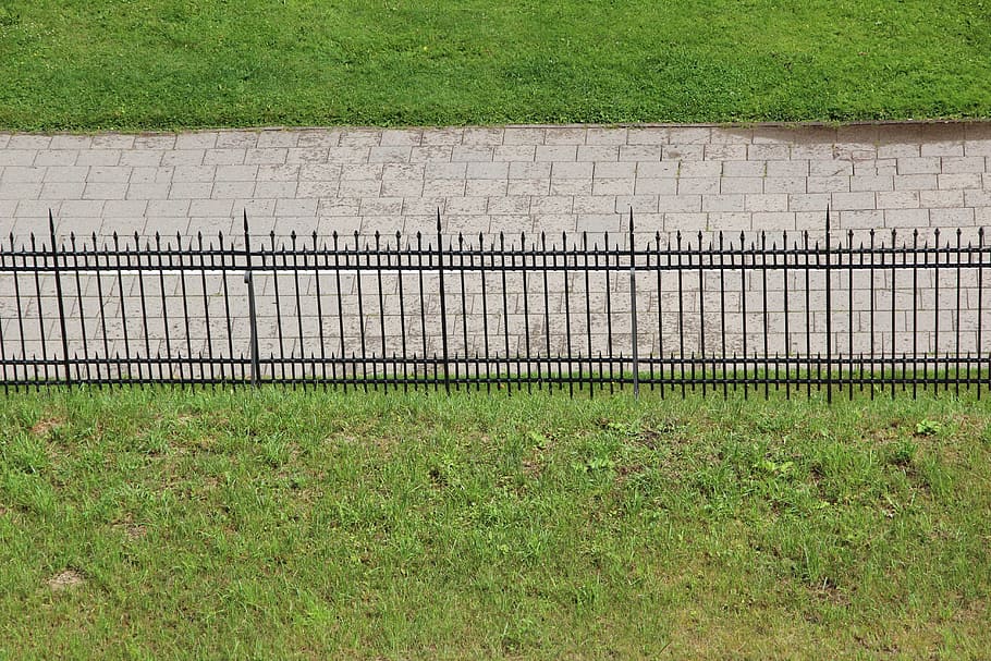 fence, separation, park, rush, away, grass, green color, plant HD wallpaper