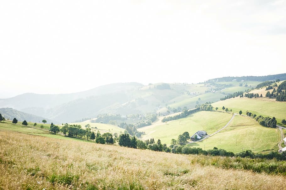 landscape photography of hills under foggy sky, brown, grass HD wallpaper