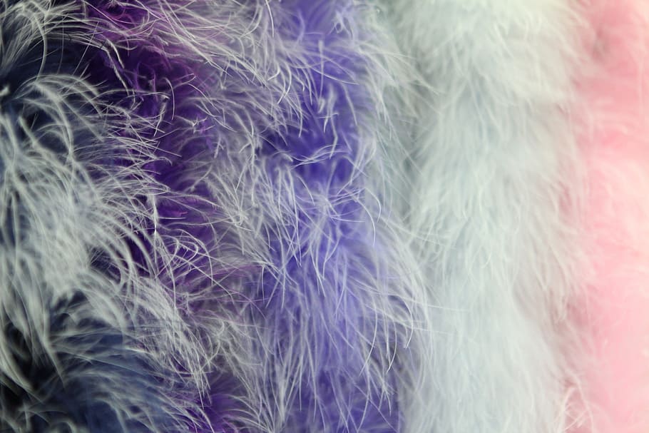background, boa, feathers, closeup, macro, pen, texture, pooh HD wallpaper