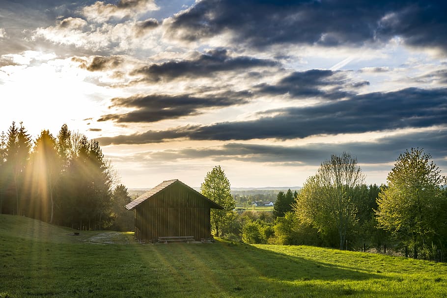 brown wooden shed near trees under cloudy sky during daytime HD wallpaper