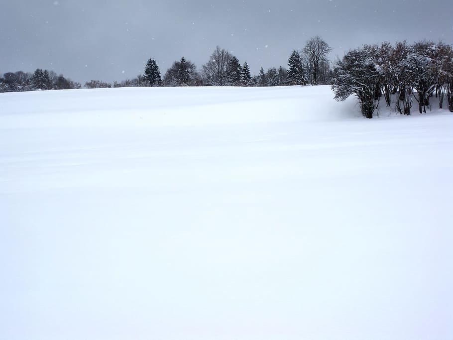 Winter, Landscape, Nature, Cloud, Snow, tree, winter landscape HD wallpaper