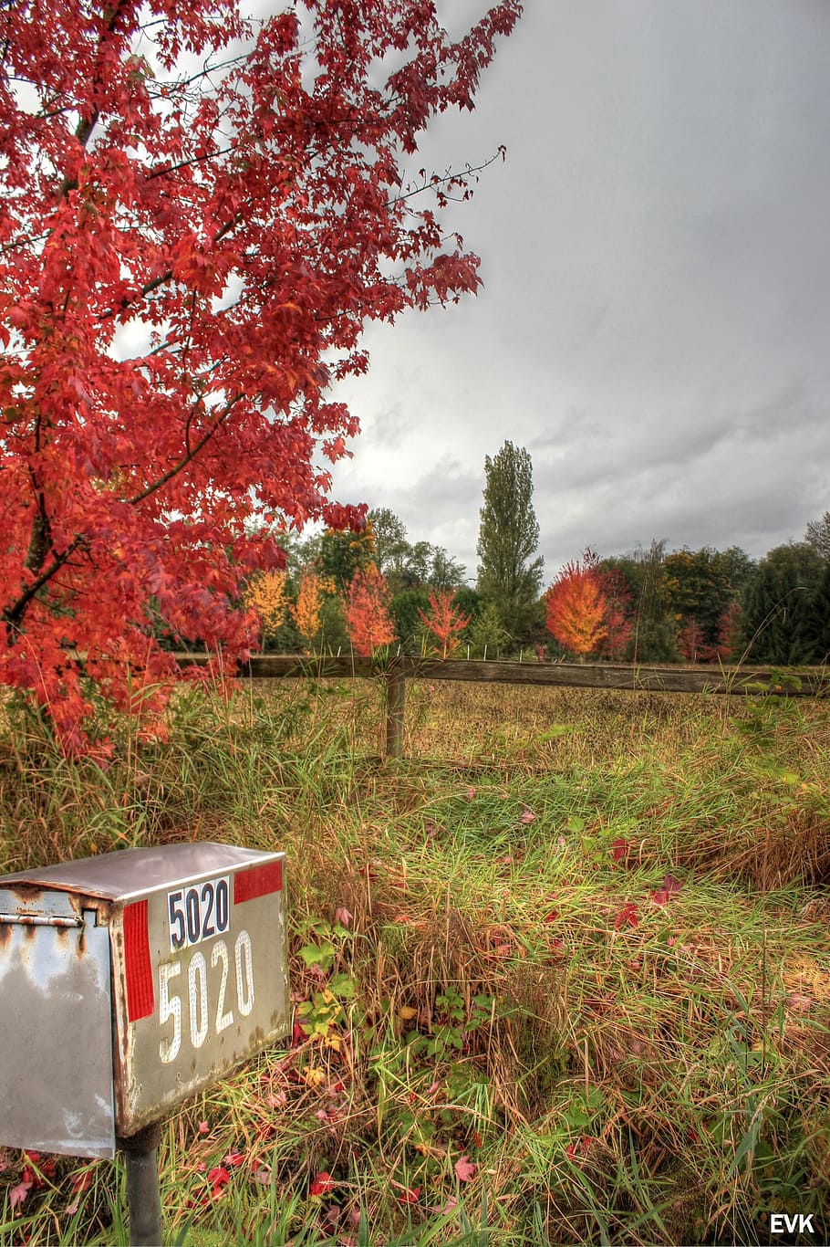 mailbox, nature, red, trees, sky, autumn, text, communication HD wallpaper