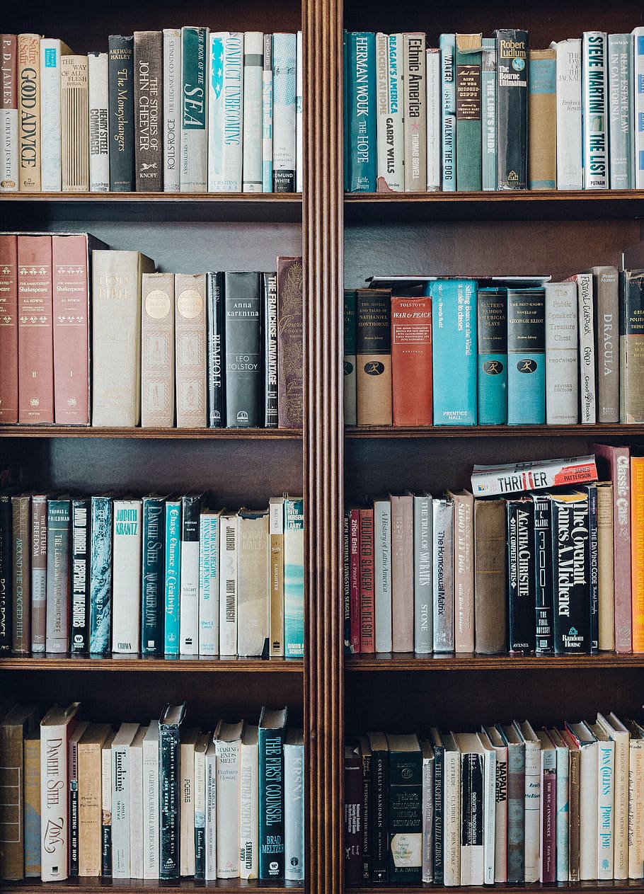 assorted-title book lot in brown wooden bookcase, books, knowledge HD wallpaper