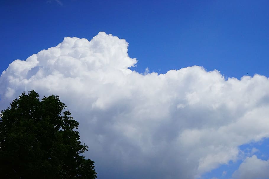 sky, blue, clouds, white, tree, nature, landscape, cumulus clouds HD wallpaper