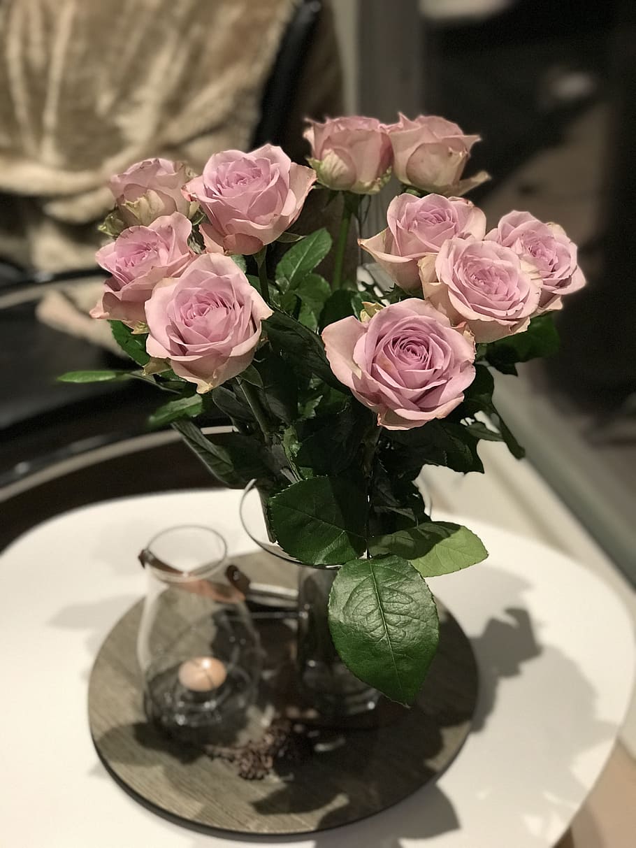 roses, interior, flowers, light, on the table, homely, flowering plant HD wallpaper