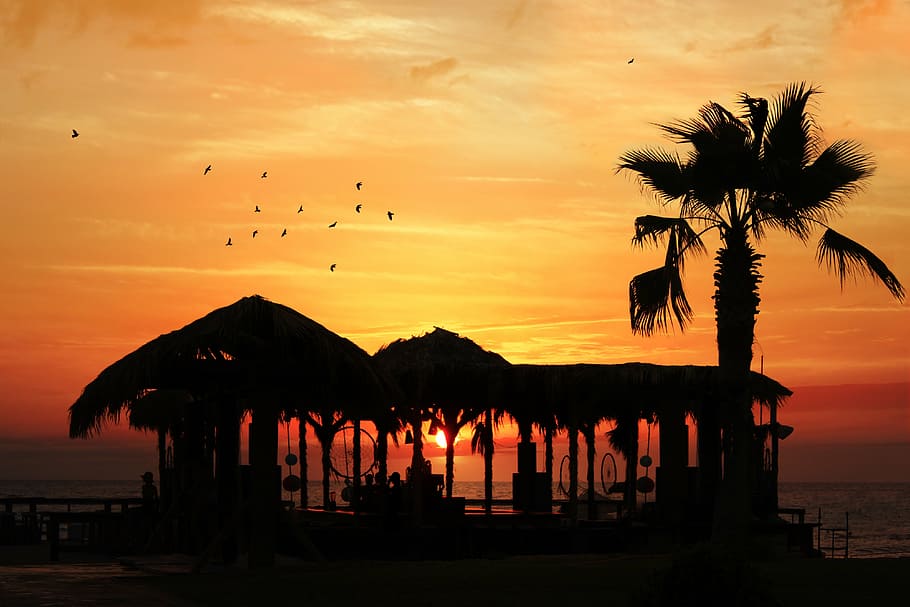 silhouette photo of beach cottage during sunset, red, beach sunset HD wallpaper