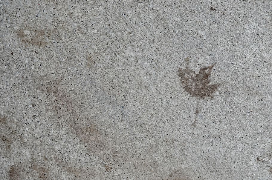 cement, leaf, nature, concrete, foliage, leaves, contemporary HD wallpaper