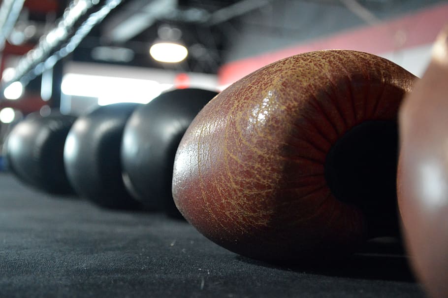 closeup photography of brown boxing gloves, boxing ring, sport