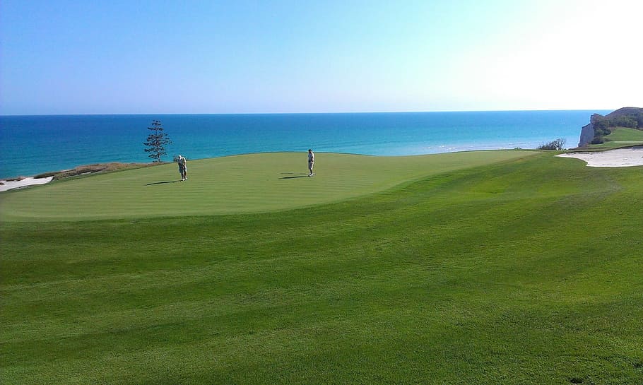 Golf Course, Grass, Green, sea, nature, beach, landscape, outdoors HD wallpaper