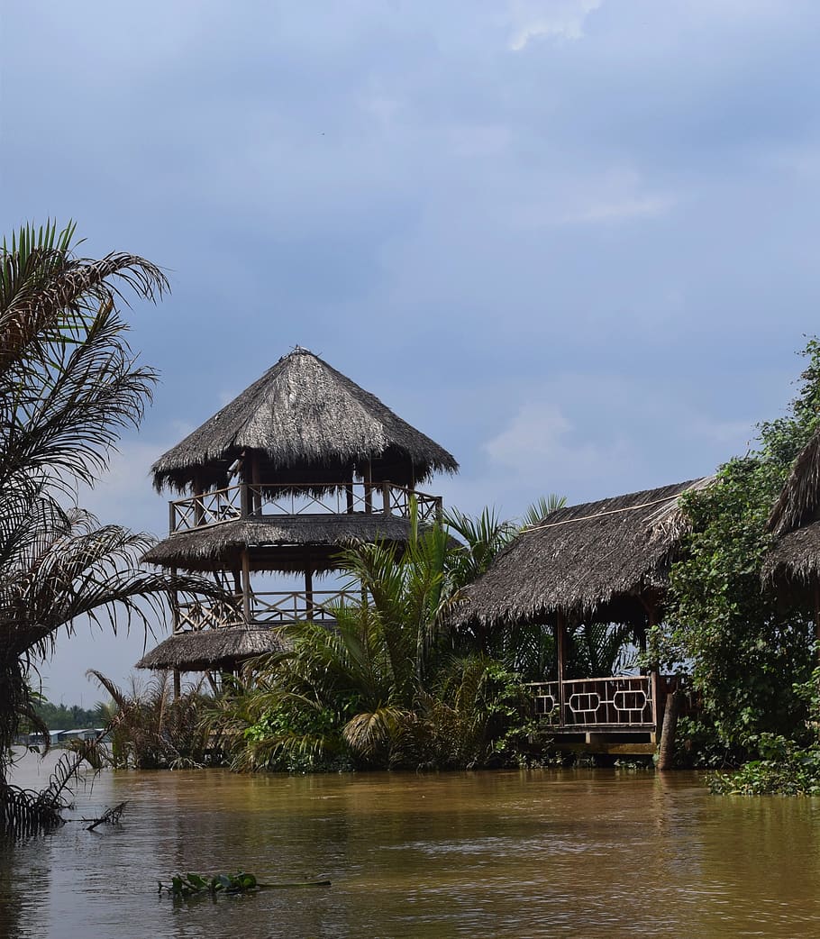 vietnam, mekong river, hut, water, travel, tree, built structure, HD wallpaper