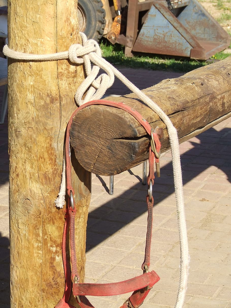 fence-binding-rope-wood.jpg