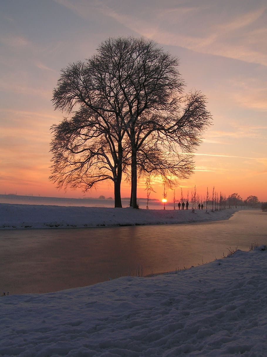 winter, snow, ice, sunset, tree, sky, beauty in nature, scenics - nature HD wallpaper