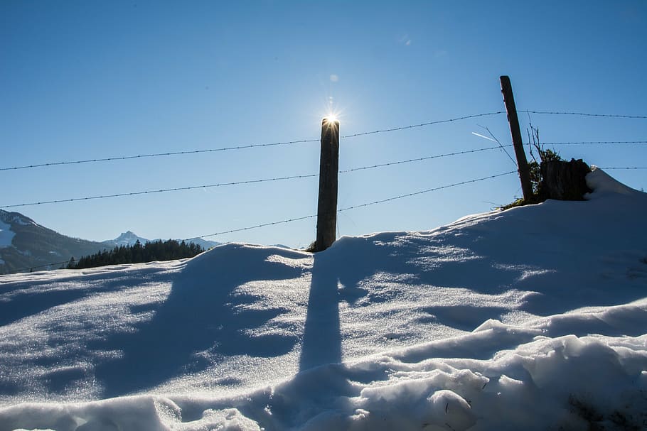 winter, sun, snow, back light, zau, fence post, cold temperature HD wallpaper