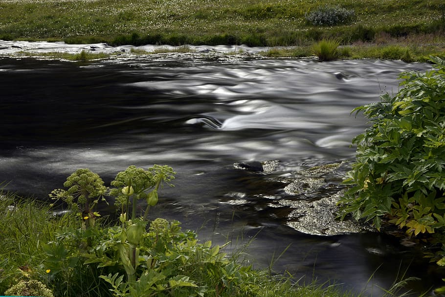 seljalandasfoss, river, flow, landscape, nature, iceland, water HD wallpaper