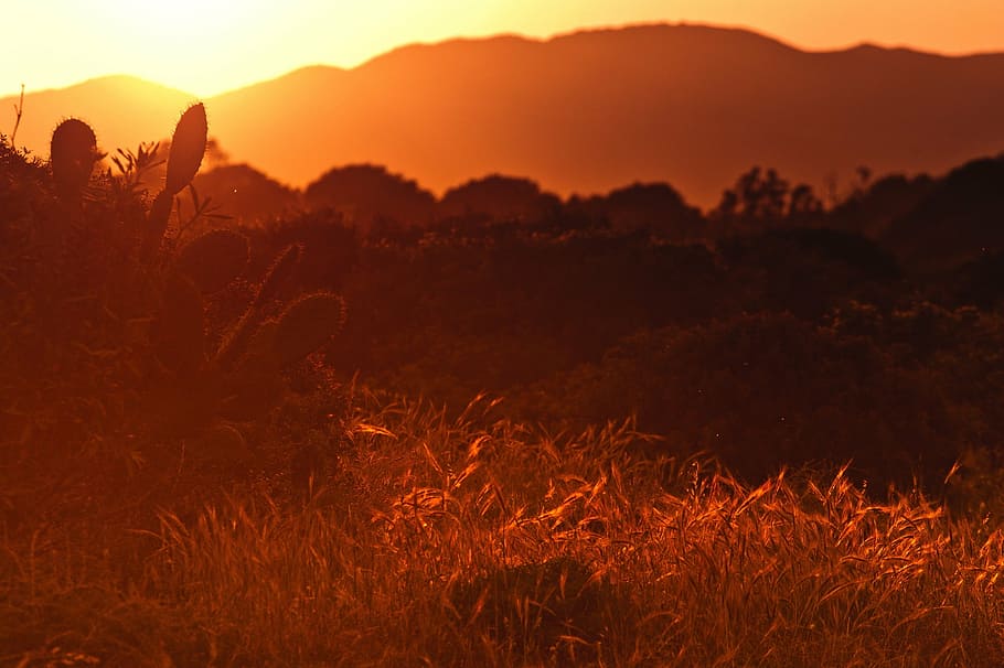 landscape, sunset, sunrise, light, oeange, glow, color, scene HD wallpaper