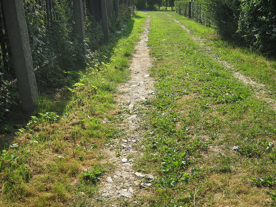 the path, way, trail, closeup, nature, outdoors, footpath, forest HD wallpaper